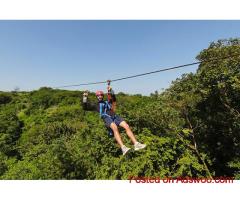 Thrilling Cartagena Zipline Adventure | Adventure Park Cartagena