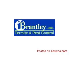 Rodent Control Services for Home & Business