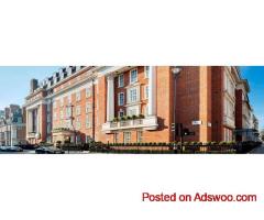 Experience Ultimate Luxury at Grand Residences by Marriott