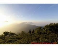 Relax in Style at Tamara Coorg – A Boutique 5 Star Stay in Coorg
