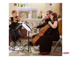 String Quartet for Hire Australia | Award-Winning Musicians