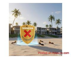 Termite Protection Gold Coast Experts – Termicide’s Proven Defense