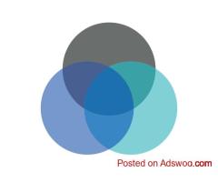 Solutions Digital Consulting
