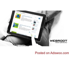 Activate Webroot from www.webroot.com/safe