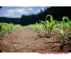 Innovation in biological biofertilizer and crop protection
