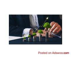PMS Distribution Services in Bangalore - Expert Wealth Management