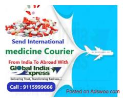 Global India Express International Courier Services in Delhi