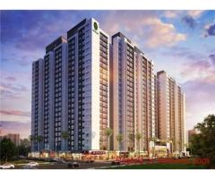 Irish Eta 1 Greater Noida – Modern Living with Premium Homes