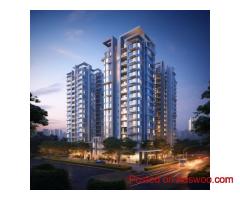 Discover Serenity and Style at Lotus Aurelia