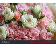 Teddy Bear Dubai — Send Love with Plush Bears & Elegant Flowers ????