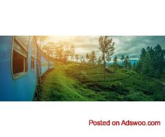 Book Serene Pavilions & Wild Coast – Ideal Luxury Getaways in Sri Lanka