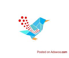 Are you Looking for SEO company in New york