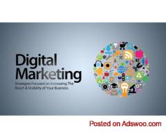 DICS Digital Marketing Course That Gets You Hired