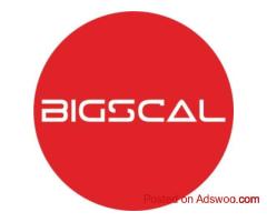 Bigscal The Ultimate Software Development Company