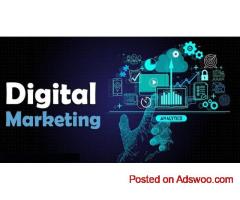 Best Digital Marketing Course in Rohini – Job-Oriented Training Institute
