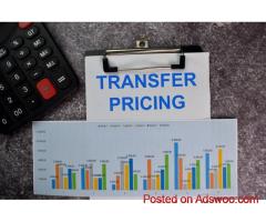 Transfer Pricing Reports | PKP Consult