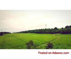 Sameera New Blossom RERA Plots in West Chennai