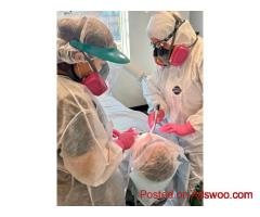Comprehensive Surgical Dental Procedures for Oral Health