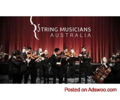Elegant String Quartet Melbourne | String Musicians Australia