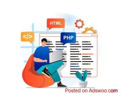 Looking to Hire Web App Developers in USA