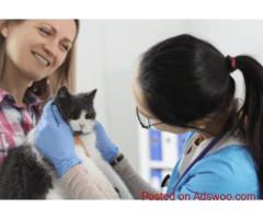 LalliCare Pharmacy | Drug Store Victoria