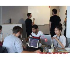 curso de programacion online