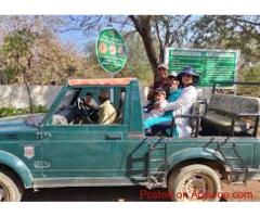 Gujarat Wildlife Tour | Wildlife Tours in India