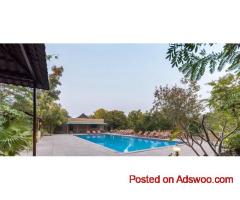 Vanaashrya Resort and Spa Sariska – Luxury Wellness Retreat