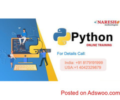 Python Online Training