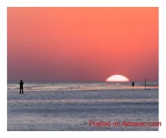 Wildlife Resorts in Gujarat | Rann Riders Safari Resort