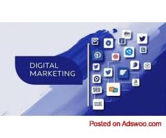 "Harnessing the Power of Digital Marketing: Strategies for Success"