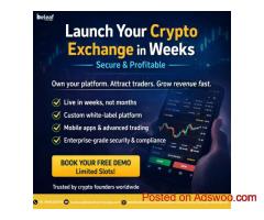 Launch Your Crypto Exchange in Weeks Secure & Profitable