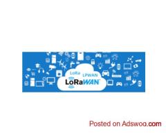 LoRaWAN Network Providers in the U.S. | Scalable IoT Networks