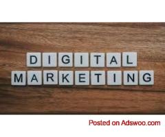 Top Digital Marketing Institutes in Pitampura: Your Pathway to Success"