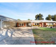 Maison Realty- Your Reliable Real Estate Agent Near Me