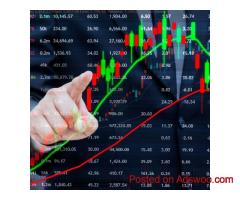 Experience the Best Platform for Forex Trading in India | FlipTrade Group