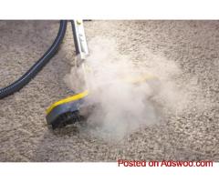 Count on the Carpet Steam Cleaning Specialist Adelaide
