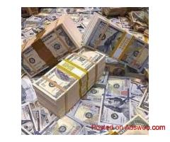 Investor looking positive investment opportunitie.
