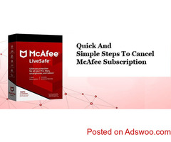 How to run McAfee pre install tool?
