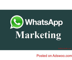 Whatsapp Bulk Marketing
