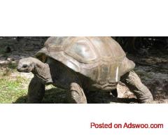Plan a Luxury Seychelles Vacation | Book Premium Resorts Now