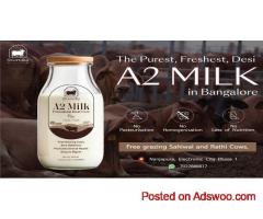 Buy A2 Cow Milk in Bangalore – 100% Pure & Fresh