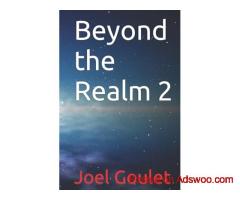 Beyond the Realm novel series by Joel Goulet