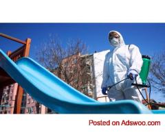 Affordable Pest Control Services Sydney for Homes and Business