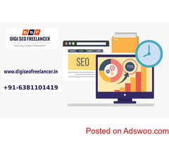 Best SEO  freelancer Expert in Chennai| Digi SEO Freelancer