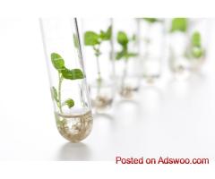 Boost Your Yields with Global BioAg Innovations Nutrients