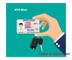 driving license consultant in gurgaon