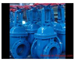 Rising stem gate valve supplier in UAE