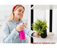 Eco Cln Non Toxic Home Cleaners for a Safer, Healthier and Eco Friendly Home