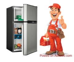 Fridge and Freezer Repair Expert